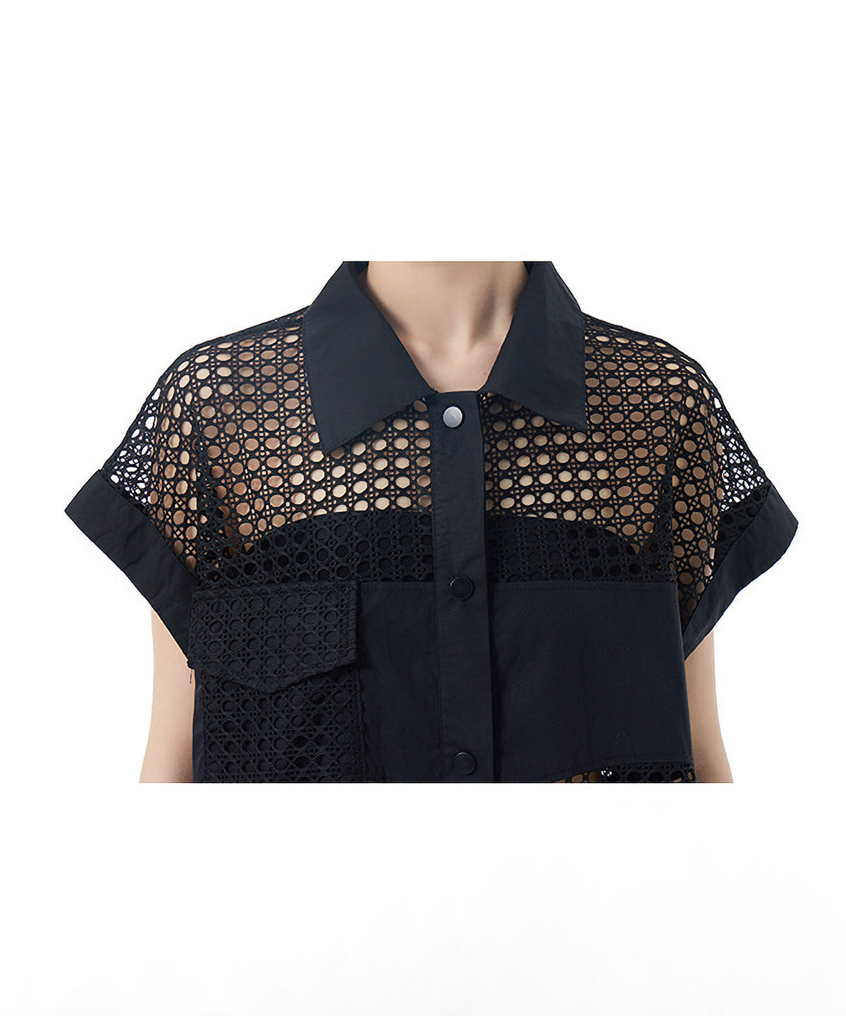 Mesh Long Blouse