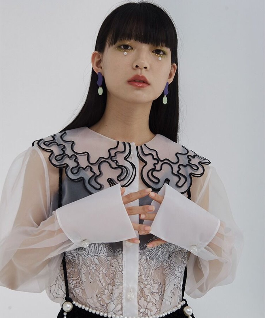 Sheer Lace Collar Blouse