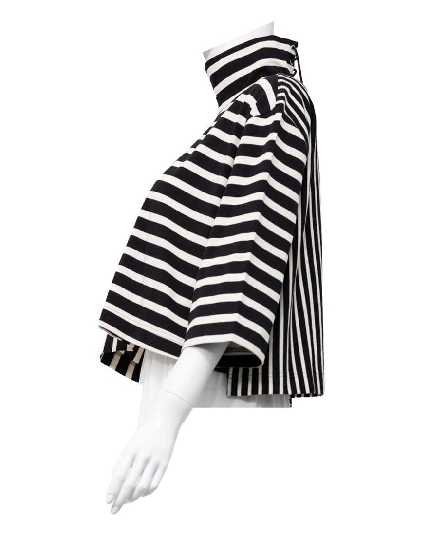 Striped Turtle-neck Top