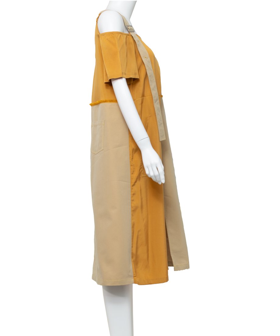 Dual Tone Asymmetric Strap Dress