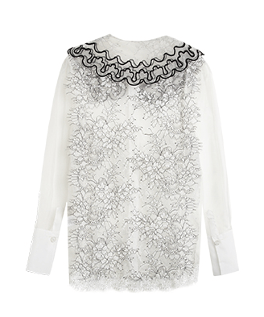 Sheer Lace Collar Blouse