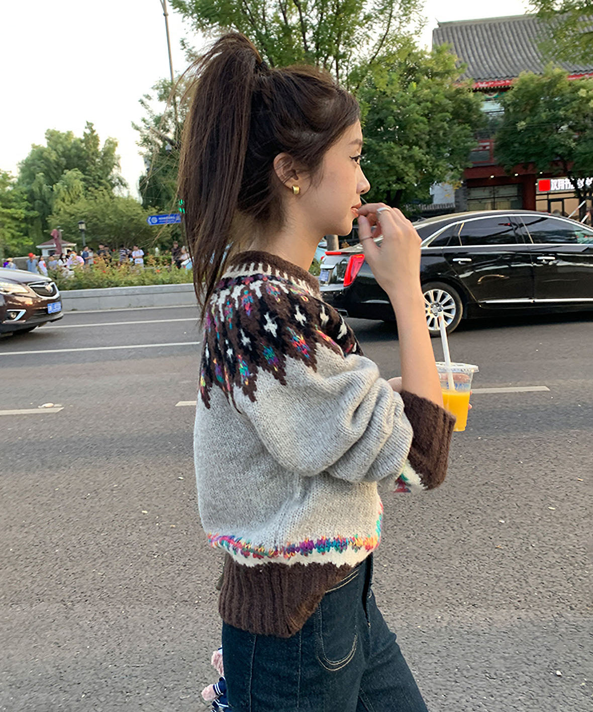 Fairisle Sweater