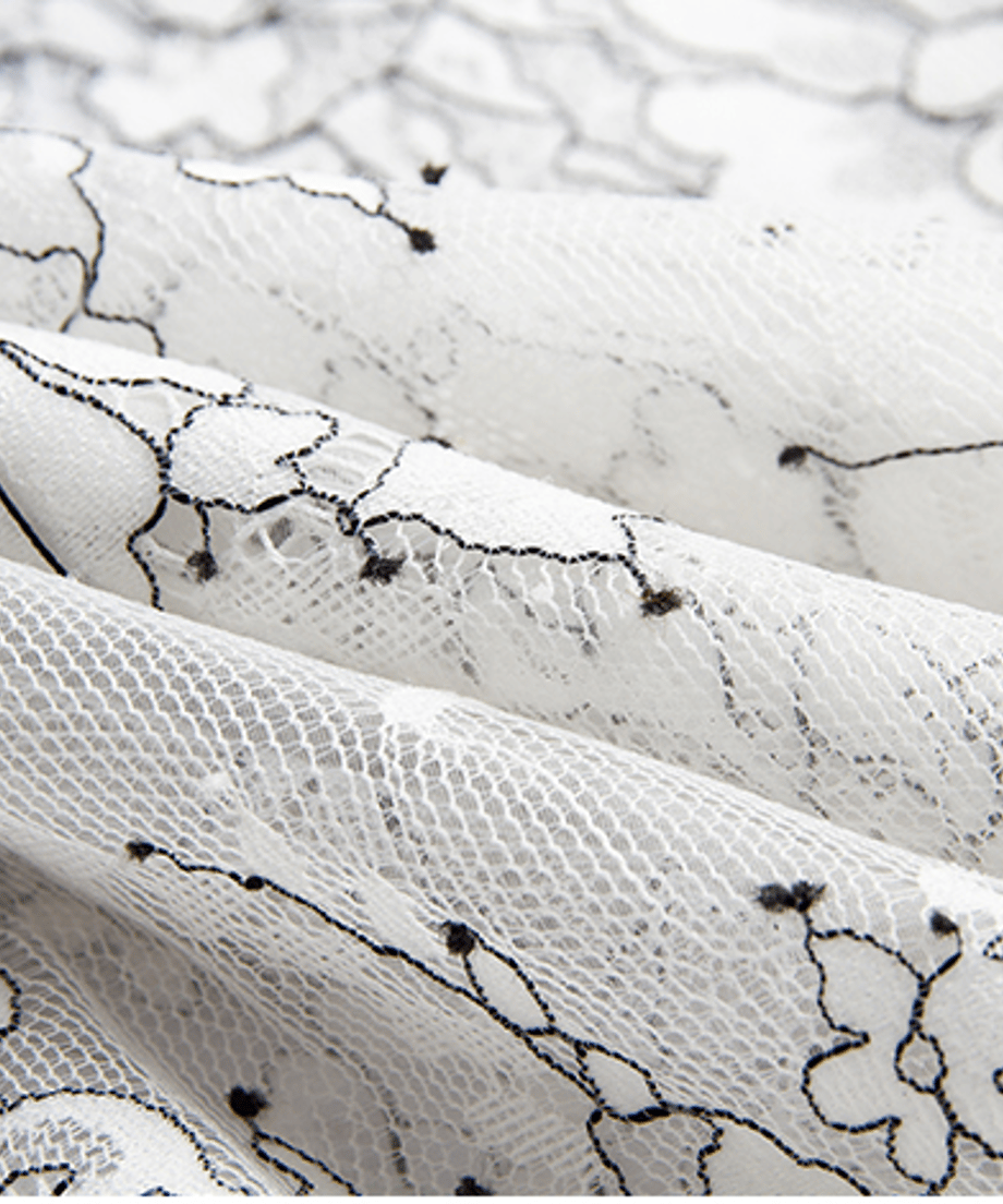 Sheer Lace Collar Blouse